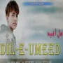 Dil E Umeed Mp3